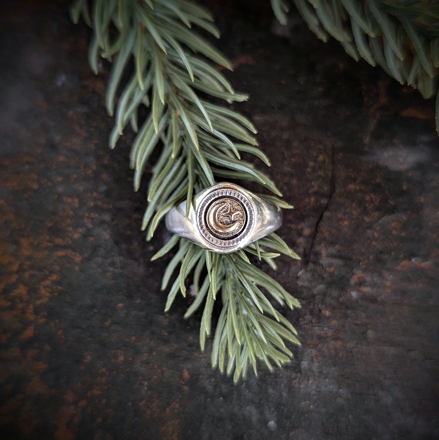 Custom for Trevor Celestial Signet Ring