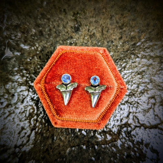 Sapphire Shark Tooth Studs