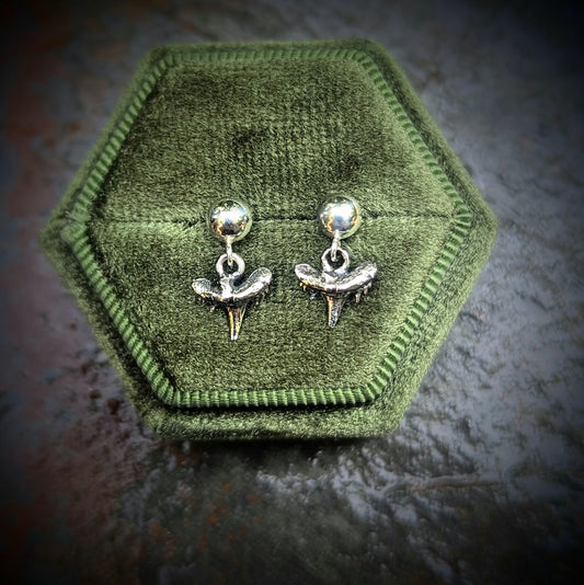 Baaaaaaby Shark Studs