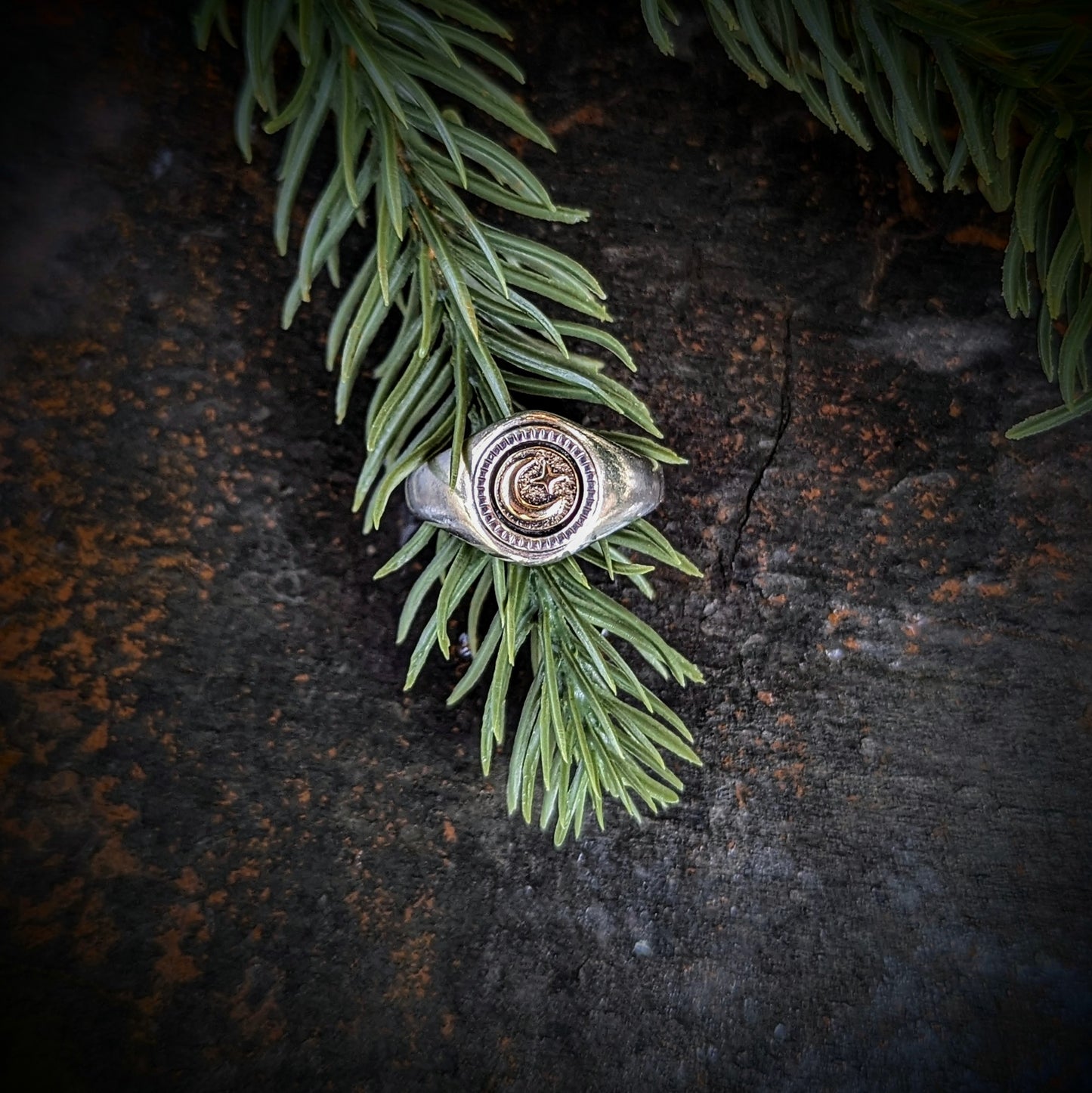 Custom for Trevor Celestial Signet Ring